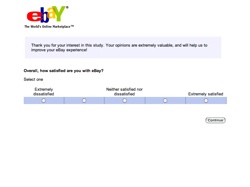 eBay survey 1